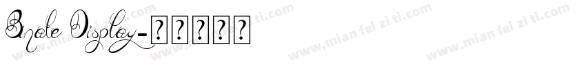 Binate Display字体转换